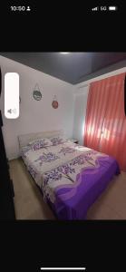 Apartament Nico