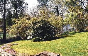 Holiday Home Ledjavägen Holmsjö