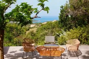 Superb sea view villa with pool and big garden - Verghia