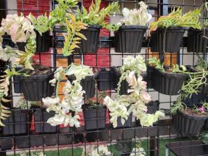 Home in Pagadian City near airport