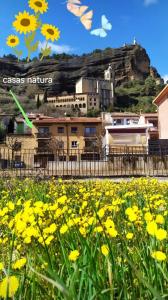 Casas Natura - Centro Graus