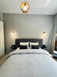 Drama Homes Miaouli #1