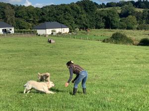 B&B / Chambres d'hotes Decouverte d'un Haras proche du Mont St Michel : photos des chambres