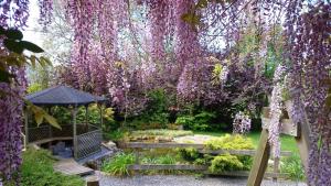 El Pedrueco Turismo Rural