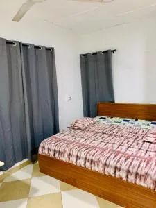 Daisy's Garden - Ashalebotwe