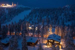 Villa Kanttarelli - next to Ruka Village