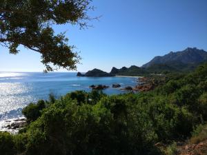 Bilocale la terrazza sul centro img27
