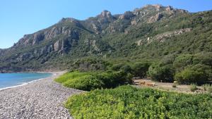 Bilocale la terrazza sul centro img28