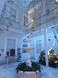 Planeta Cadiz Hostel