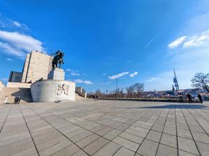 Flat in Zizkov with free underground parking -501-