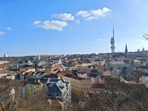 Flat in Zizkov with free underground parking -501-
