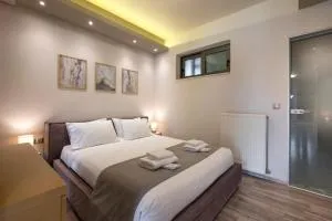 Zen luxury studio - 卡拉马基