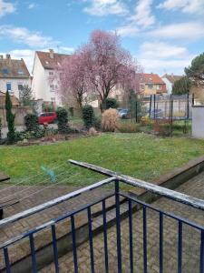 Appartements Superbe appartement a Strasbourg : photos des chambres