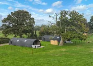 Firtree Farm Lodges - West Camel