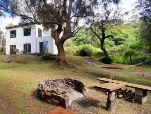 Casa de Olivos - 蓬塔巴雷纳