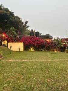 Hotel Tourist Residency And Homeland Forest Villa