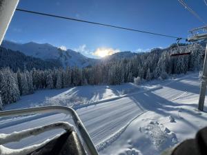 Maisons de vacances Monkey Barn Morzine Les Gets : photos des chambres