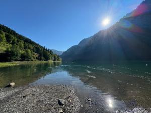 Maisons de vacances Monkey Barn Morzine Les Gets : photos des chambres