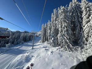 Maisons de vacances Monkey Barn Morzine Les Gets : photos des chambres