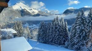 Maisons de vacances Monkey Barn Morzine Les Gets : photos des chambres