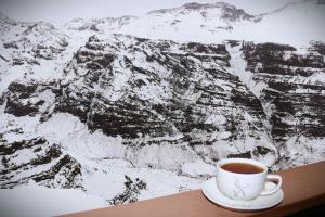HOM I Departamento en Valle Nevado Amplio Dúplex 6PAX SKIOUT