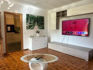 Melide lake apartment - Melide