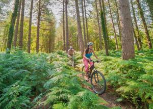 The Sherwood Hideaway Lodges