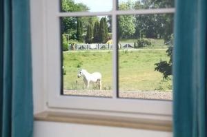 Ferienhäuser unter Reet in Lohme Reethaus Svantevit