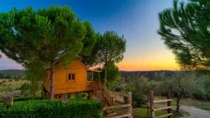 Cortijo señora de las Angustias 2 - 圣尼科拉斯德尔普埃尔托