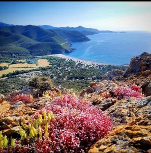 Appartements Pietralba Un havre de paix entre mer et montagnes : photos des chambres