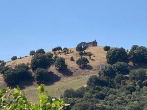 Appartements Pietralba Un havre de paix entre mer et montagnes : photos des chambres