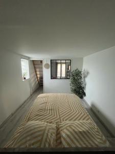 Appartements Ty-ca house : photos des chambres