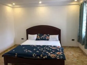 Luxurious Apartments - Nkawkaw