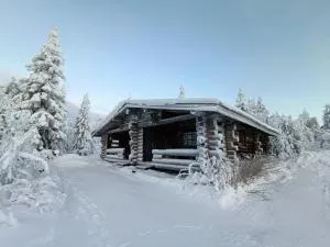 Tunturiporo - 普达斯耶尔维