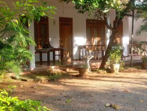 Jungle View Guest
