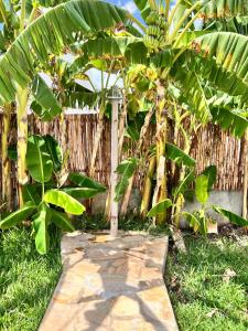 Villa Taamoyo - Entire Villa with Private Pool