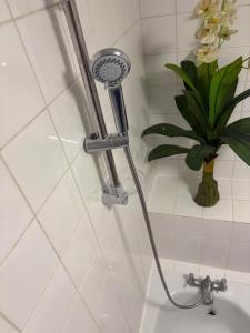 Amazing New Bed Stay in New Cross Goldsmiths