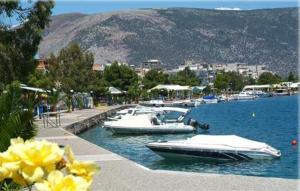 Iridanos Parnassos Greece