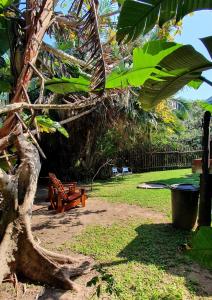 Peaceful cabin with pool on tropical south coast