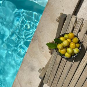 Gîte Eucalyptus LEcrin de Verdure piscine Chinon