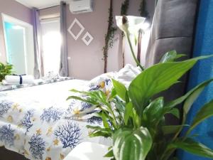 Dimora Bed and Breakfast img19