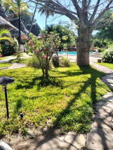 Malindi Beachfront Cottages - Garden Poolside cottage