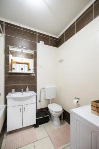 Modern bright apartment