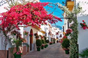 Kampaoh Estepona