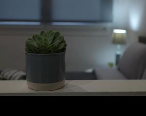 Ariadni Apartment Cozy Escape