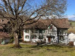 B&B Bad Tiefenau, HAUS AN DER QUELLE - Münchwilen