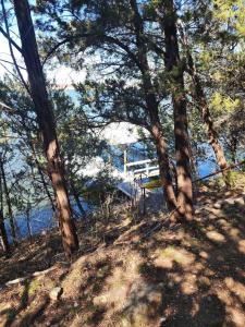 Charming home on Lake Granbury