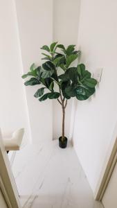 Ishas Place Self Check-In 2BR Netflix WiFi Camella Homes Villakananga