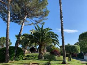 Appartements Moderne Wohnung In Mougins Mit Eigenem Garten : photos des chambres