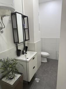 Centar Dunavski Park